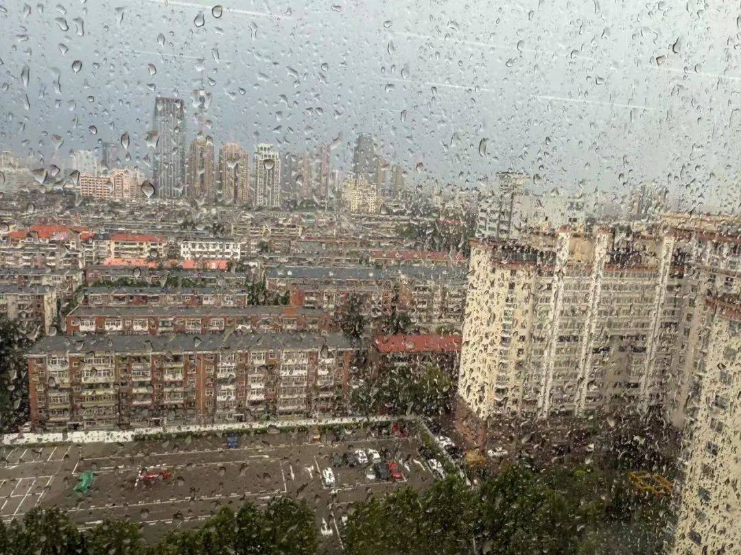 皇家马德里vs希拉尔_天津：雨下了皇家马德里vs希拉尔！树倒了！10级大风！黄色预警！