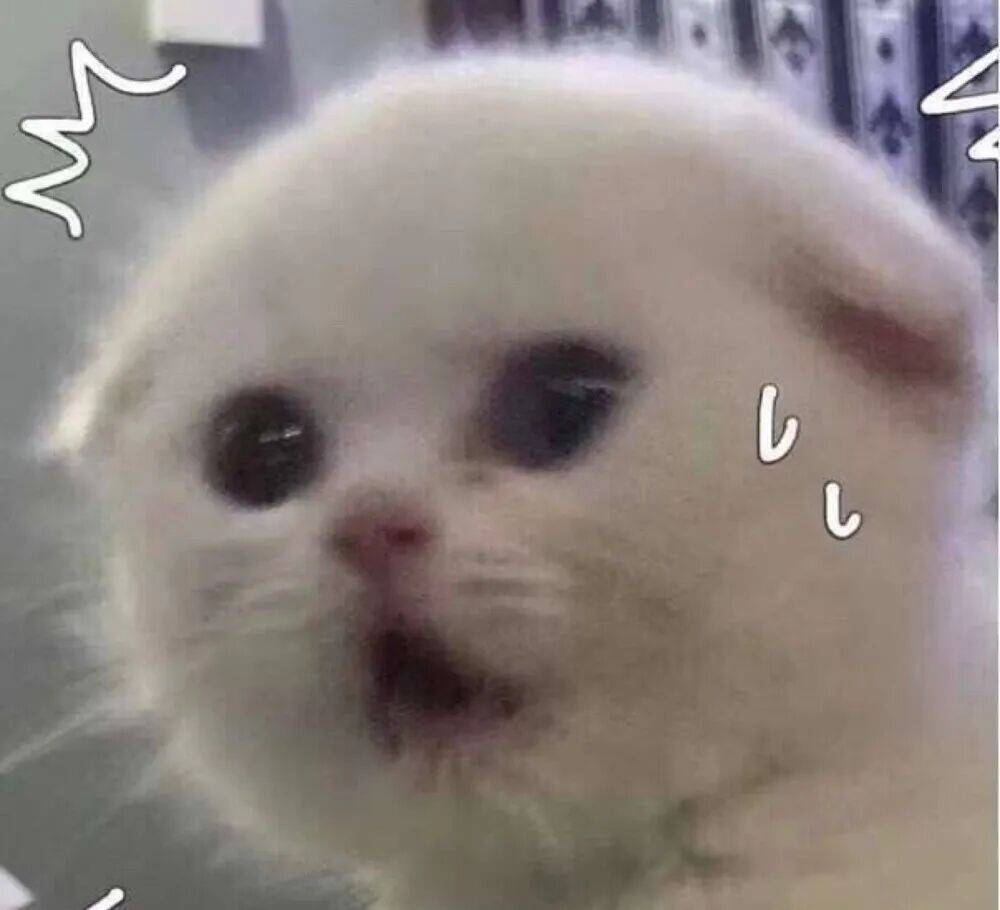 皇冠信用网怎么申请
_上海一对婆媳因阻碍加梯皇冠信用网怎么申请
，与五位邻居“大打出手”！