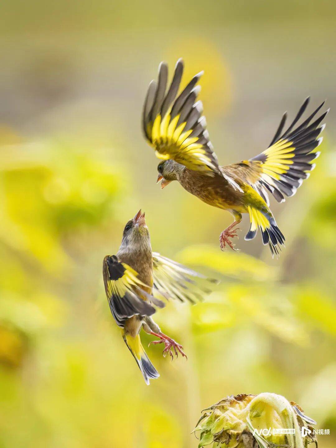 皇冠信用盘最新地址
_东莞最新发布:将严厉打击这些行为皇冠信用盘最新地址
!